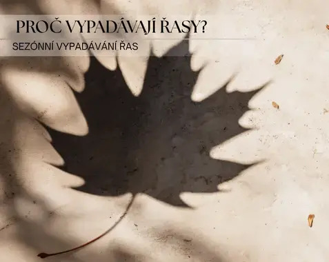Proč řasy vypadávají? Sezónní vypadávání řas