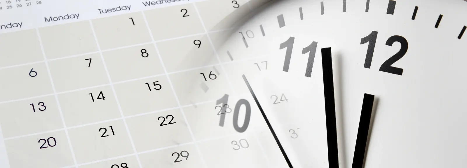 Jak zrychlit aplikaci prodlužování řas? Praktické tipy pro lash stylistky