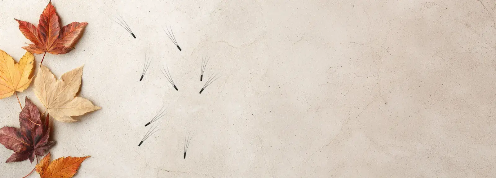 Proč řasy vypadávají? Sezónní vypadávání řas