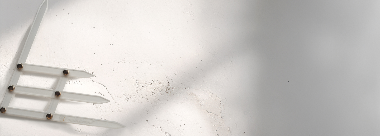 Geometrie obočí – základ dokonalé stylizace